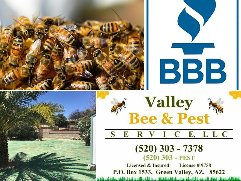 Valley Bee & Pest Service, LLC