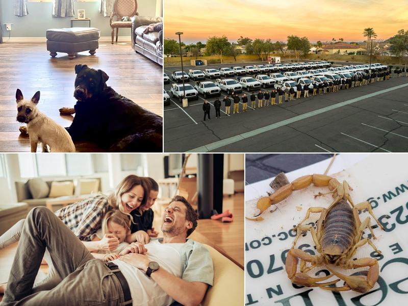 Greenleaf Pest Control