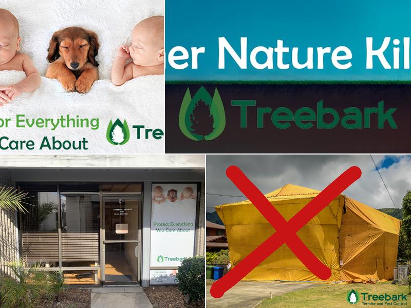 Treebark Termite and Pest Control