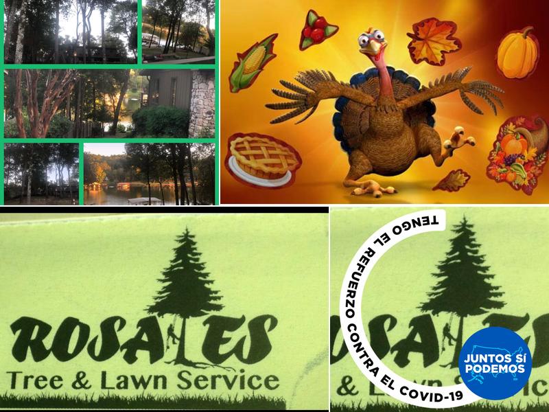 Rosales Lawn Services