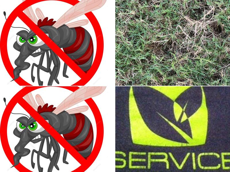 Service Lawn & Shrub