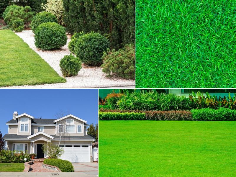 Adams Lawn Service, Maintenance & Weed Control