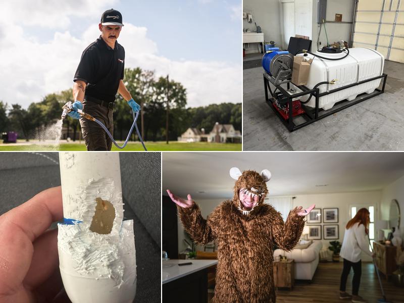 The Pest Detective Termite and Pest Control