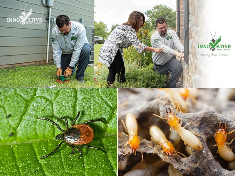 Innovative Pest Control