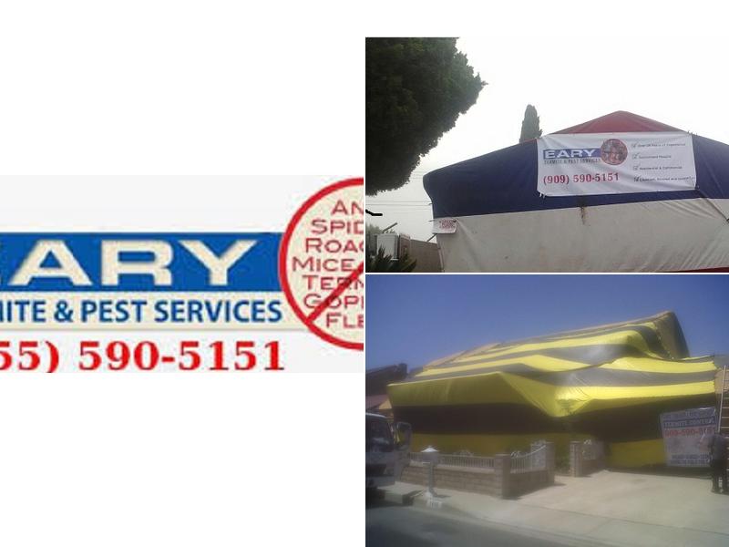 Eary Termite & Pest Service