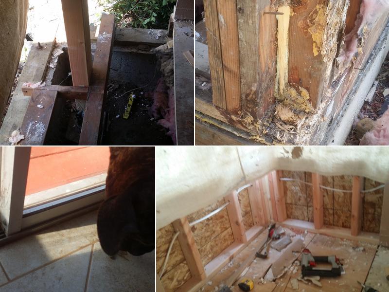 BG Inspections & Pest Control