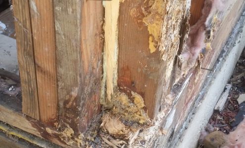 BG Inspections & Pest Control 201 Ashwood Dr, Suisun City California 94585