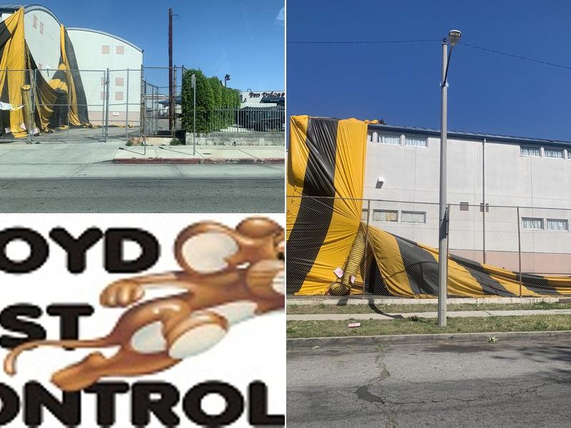 Lloyd Pest & Termite Control