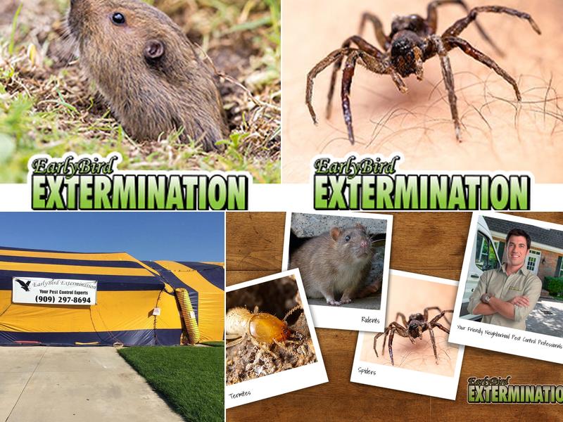EarlyBird Extermination, Inc.