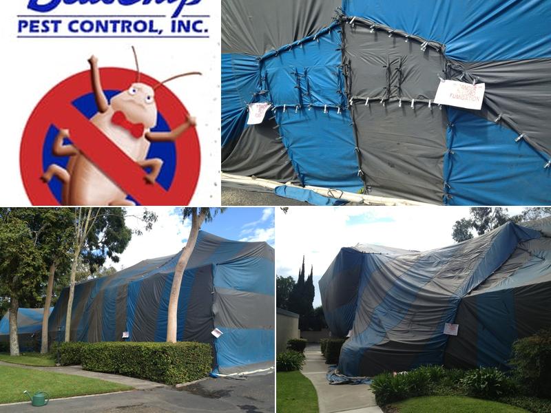 Blue Chip Pest Control, Inc.