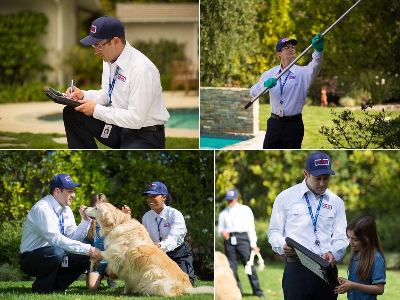 Clark EssentialClean