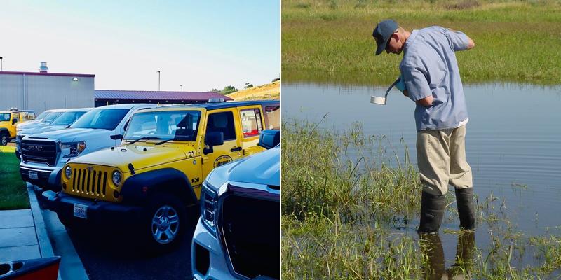 Benton County Mosquito Control