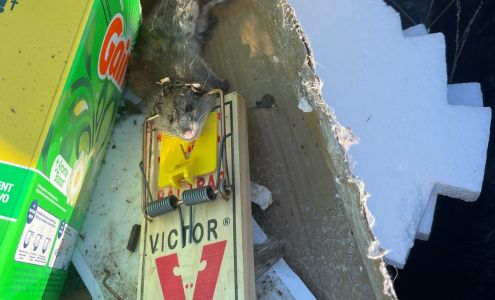 Get'em Gone pest control