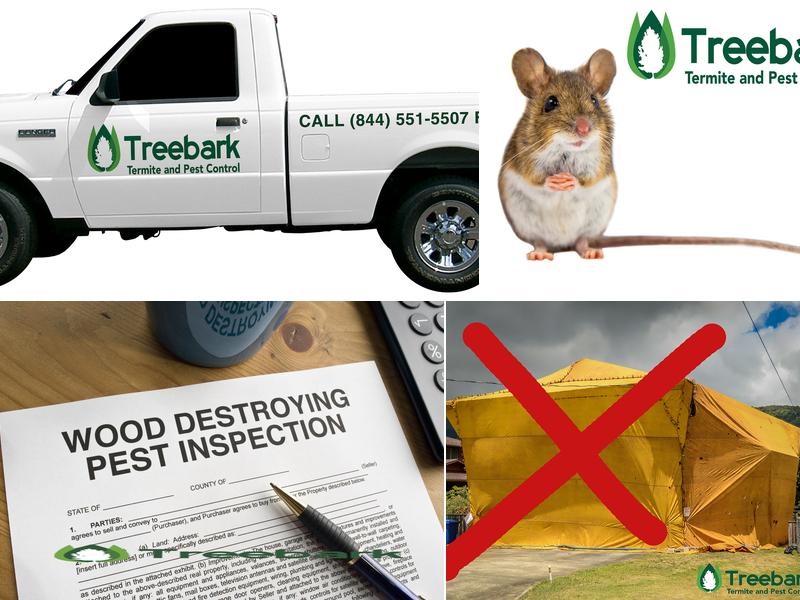 Treebark Termite and Pest Control