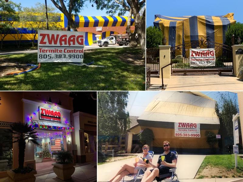Zwaag Termite Control