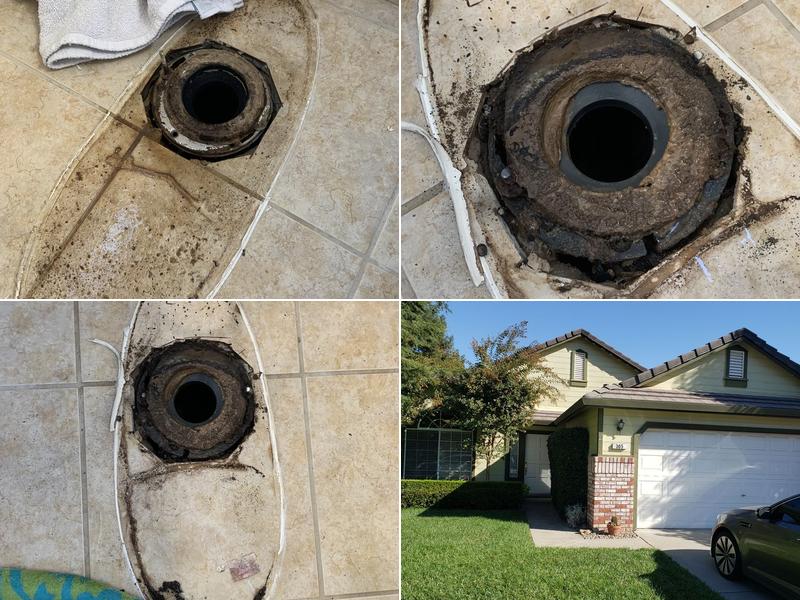 Providence Pest Control