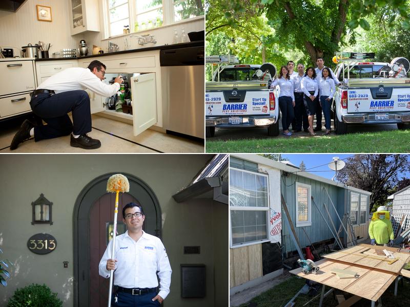 Barrier Pest Solutions