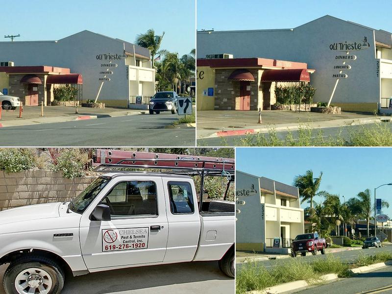 Chelsea Pest and Termite Control