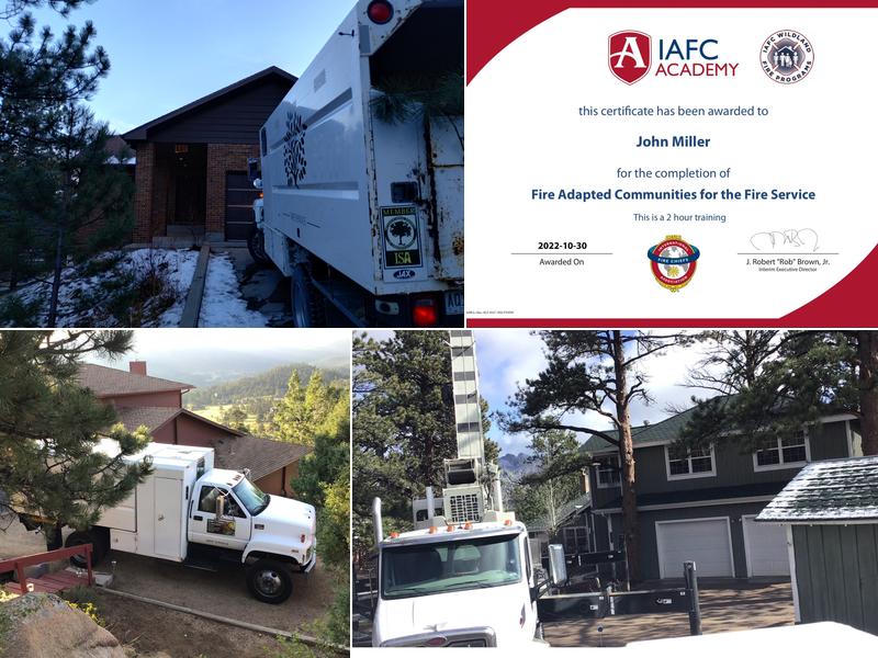 Beyond Tree Services