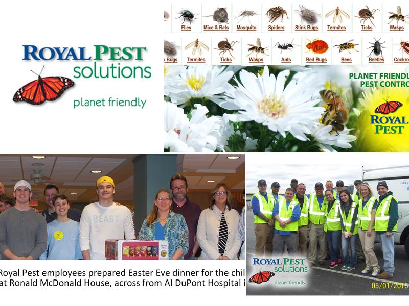Royal Pest Solutions