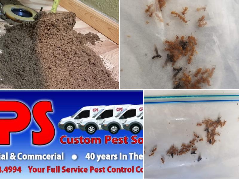 Custom Pest Solutions LLC