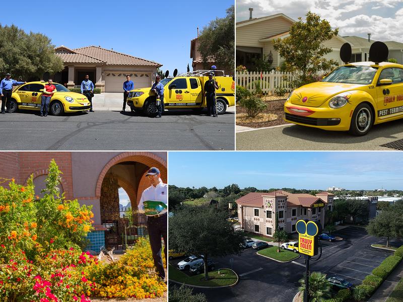 Truly Nolen Pest & Termite Control