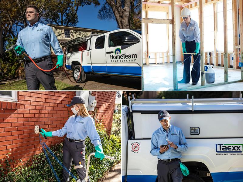 HomeTeam Pest Defense