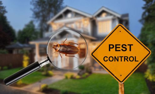 Near me Best Pest control 2834 Recker Hwy, Jan Phyl Village Florida 33880