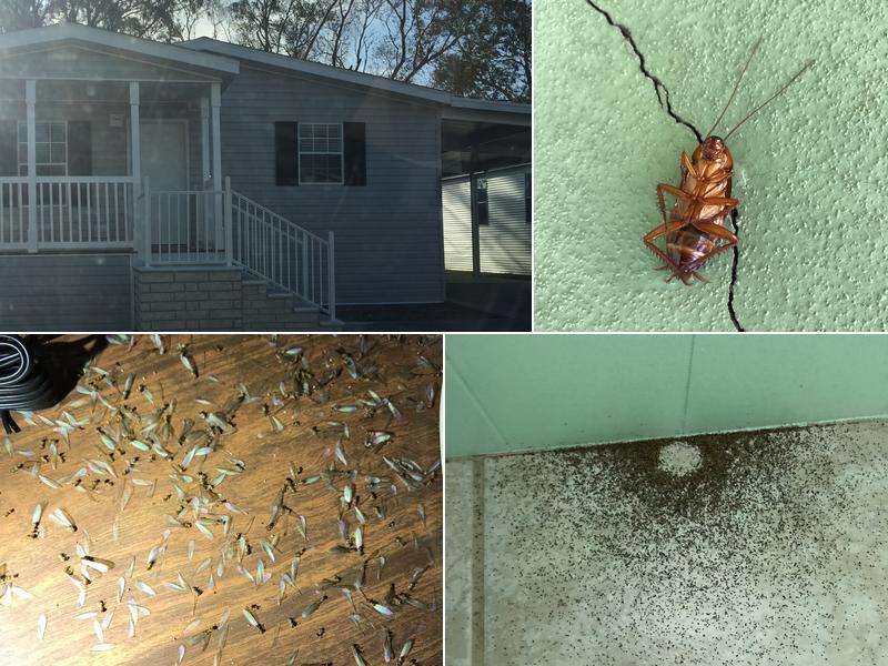 All Pest and Termite Control, Inc.