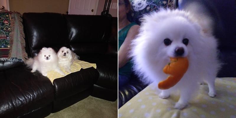 Bug Off Pest Control