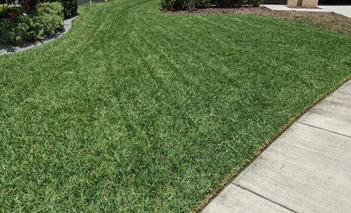 Prime Environmental Pest Control 12599 Lillyreed Ct, Odessa Florida 33556