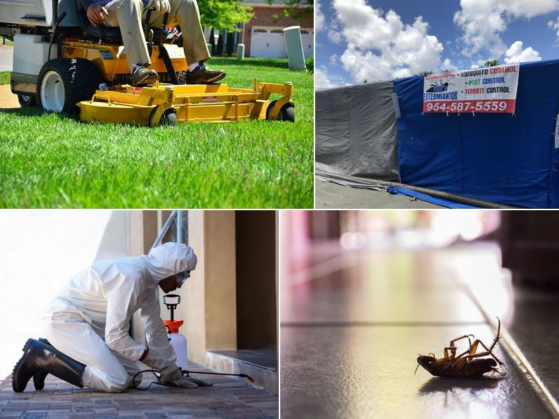 Bugs extermination termite and pest control inc