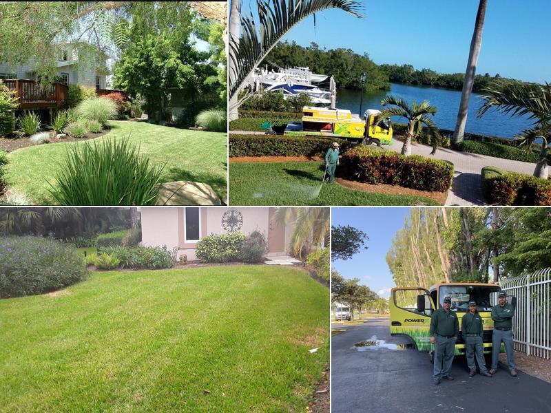 Power X Pest Control