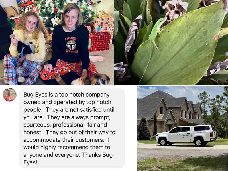 Bug Eyes Pest Control llc