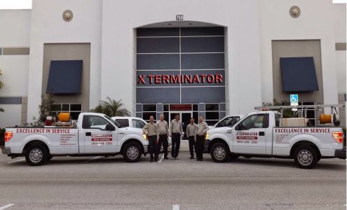 X Terminator Pest Control 4793 NW 3rd Ct, Deerfield Beach Florida 33442