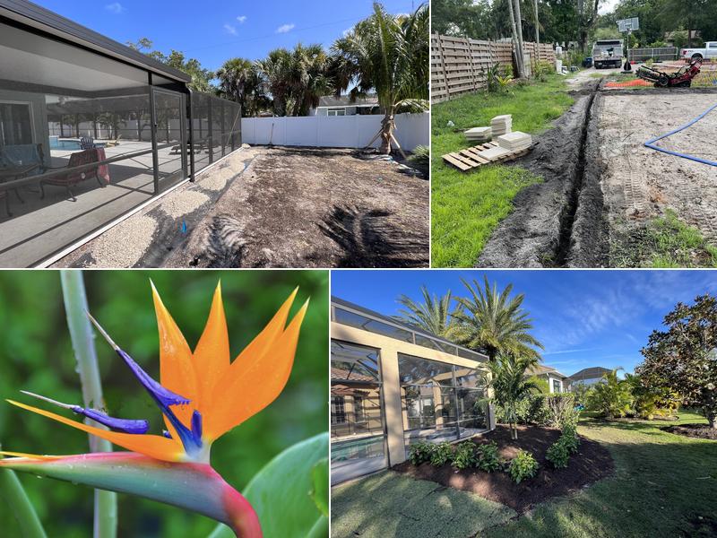 Azure Skies Landscape Services