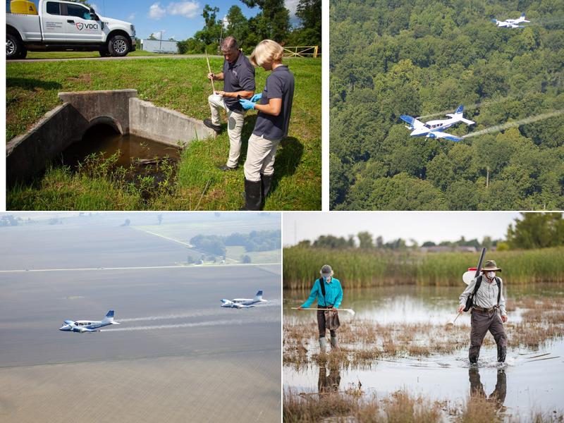 VDCI Mosquito Management