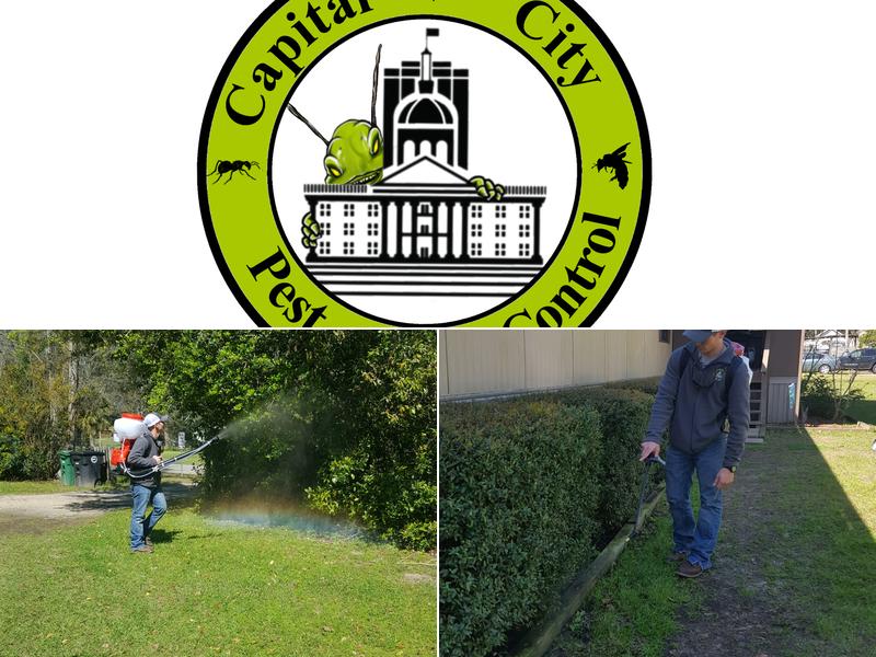Capital City Pest Control