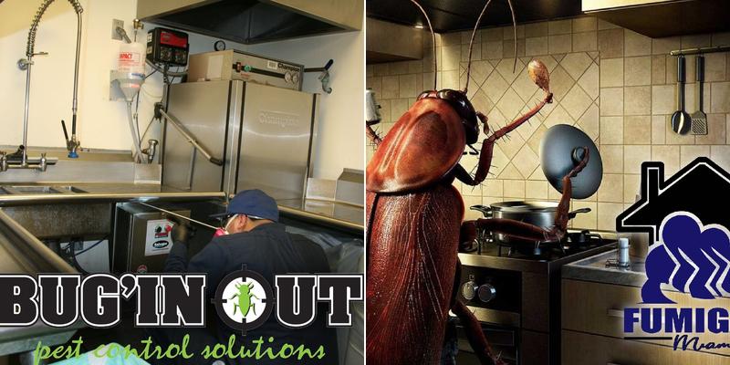 Fumigate Miami