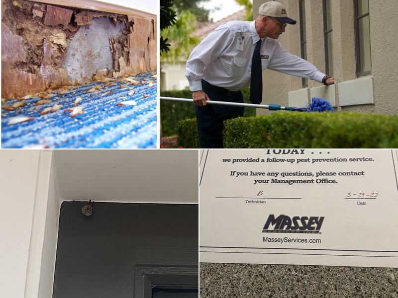 Massey Services Pest Control