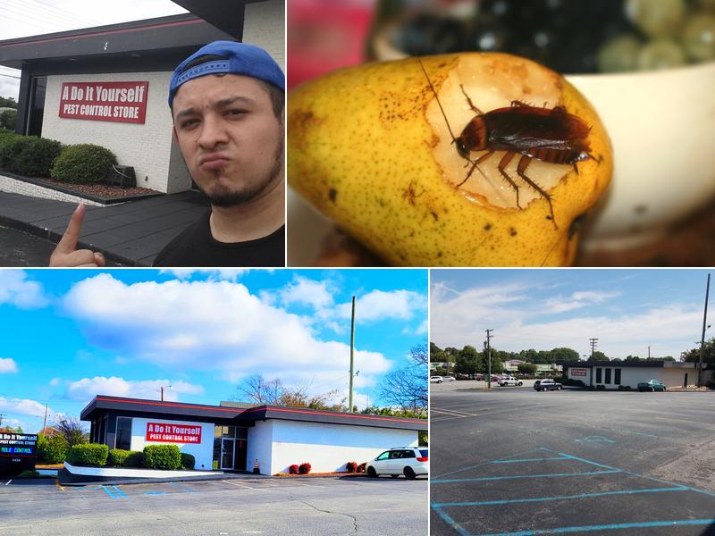 Do It Yourself Pest Control Store