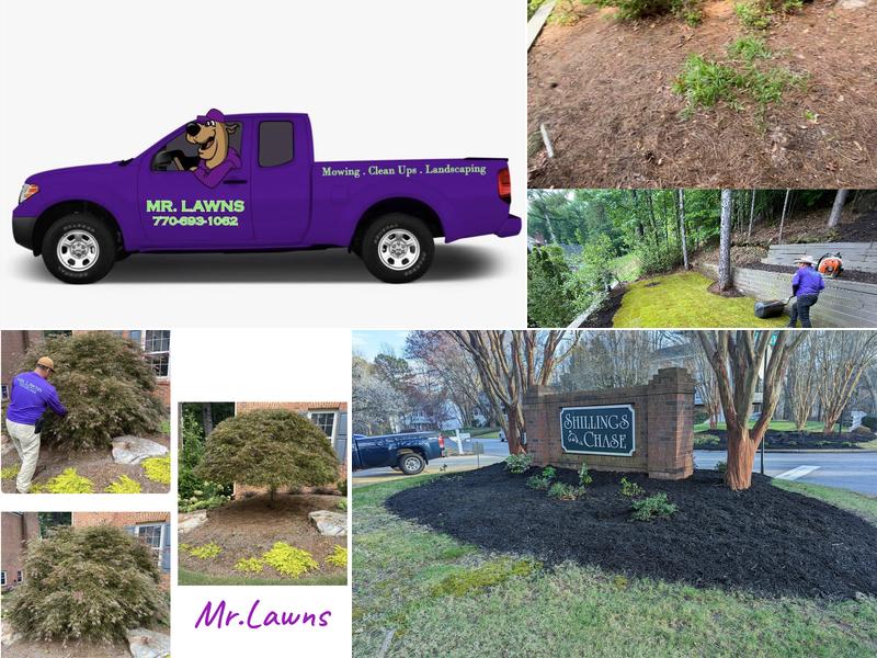 #1 MR. LAWNS , LAWN CARE