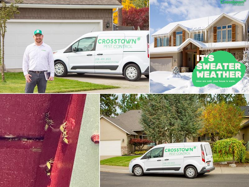 Crosstown Pest Control