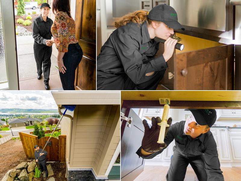 Western Exterminator