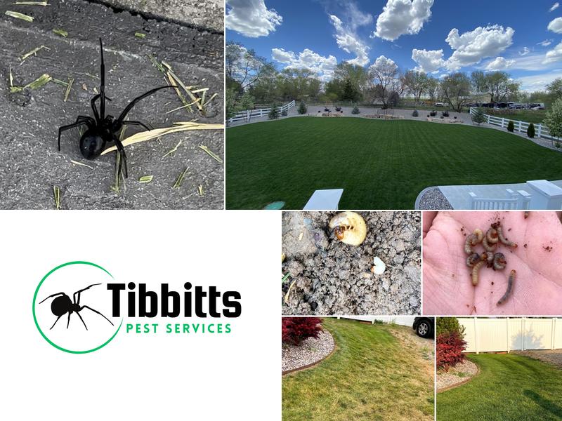 Tibbitts Pest Services