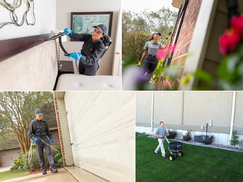 Rentokil Pest Control