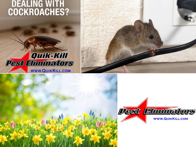 Quik-Kill Pest Eliminators Inc Morris