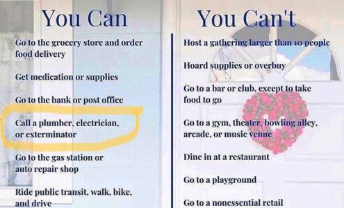 ProGuard Pest Solutions