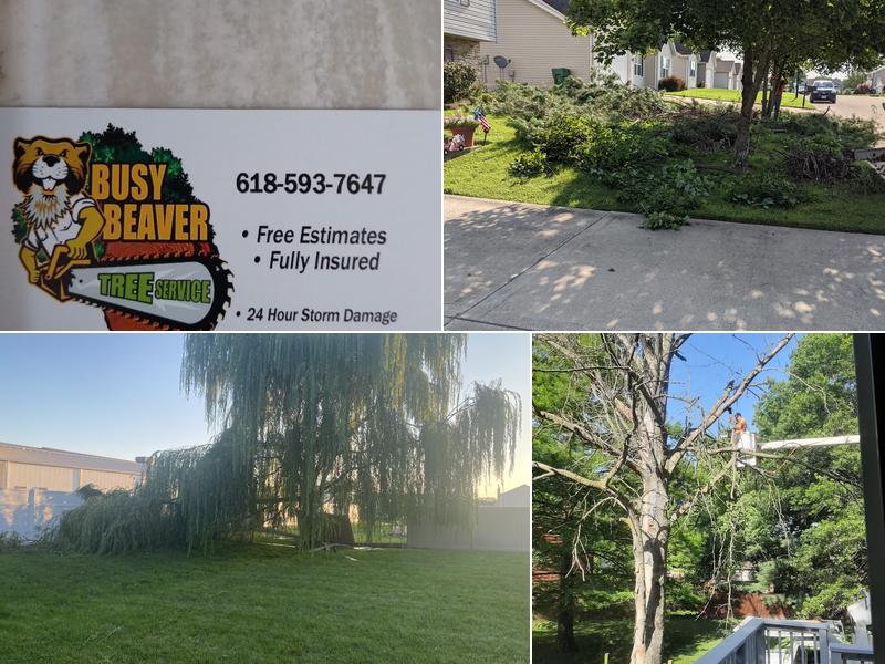 Busy Beaver Tree Services