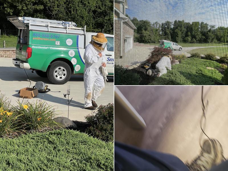 Smithereen Pest Management Services
